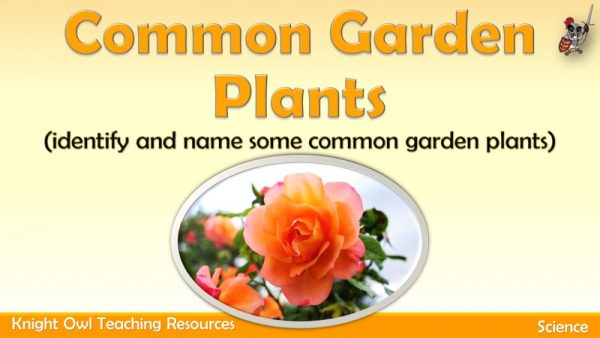Common Garden Plants1