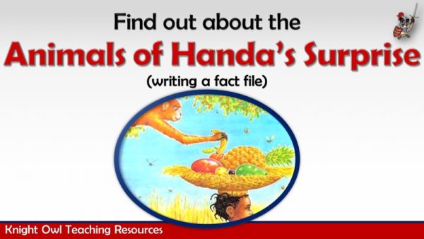 Animals of Handa's Surpriseb1