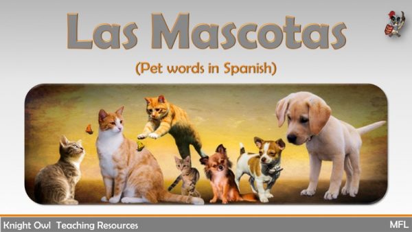 Pet Words in Spanish 1