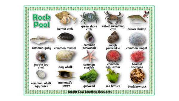 Slide5